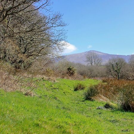 Pen-y-groesTryfan - Uk6628别墅 外观 照片